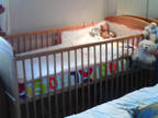 baby cot/bed